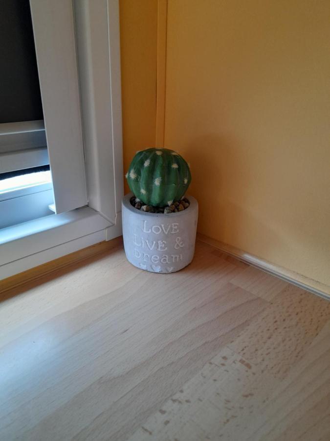 דירות Burinhosa A Casinha Da Aguieira Na Lands Hause L6 מראה חיצוני תמונה
